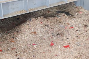 Advantages and Suggestions for Adding Wood Chips in the RDF Pellet Production Process
