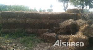 Cần bán máy hủy lá mía, máy hủy sinh khối JSD Environmental Machinery